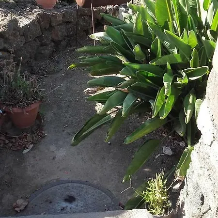 Le Due Cycas Casa vacanze *