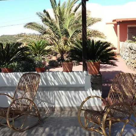 Le Due Cycas * Siba