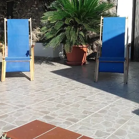 Le Due Cycas *