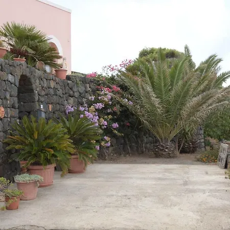 Le Due Cycas * Siba