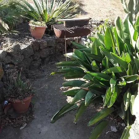 Le Due Cycas *