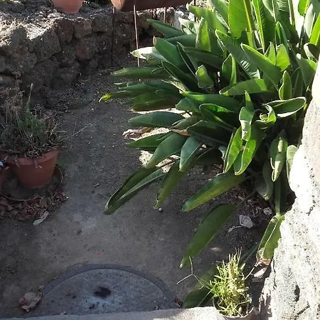 Le Due Cycas Holiday home *