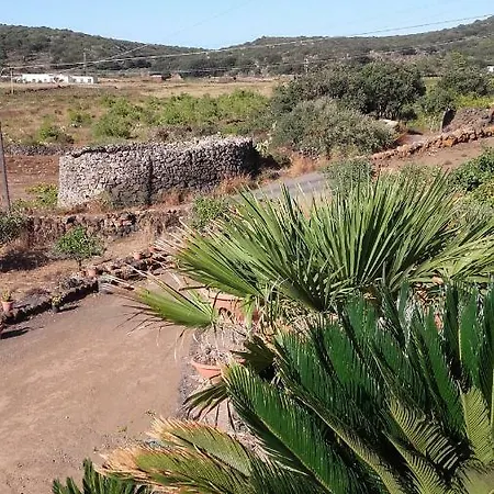 Le Due Cycas